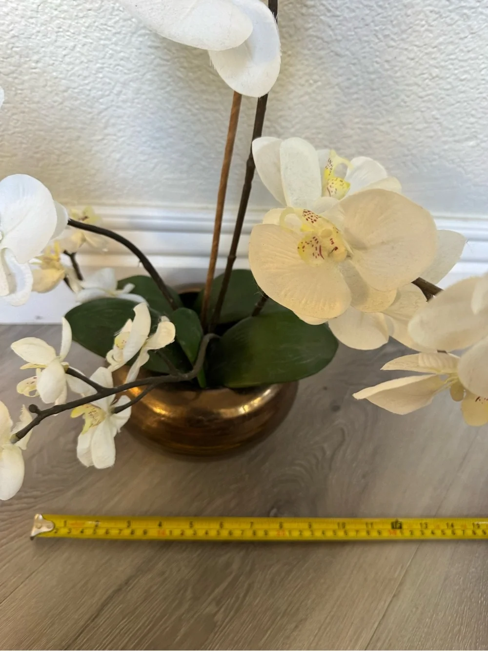 Pier 1 elegant white