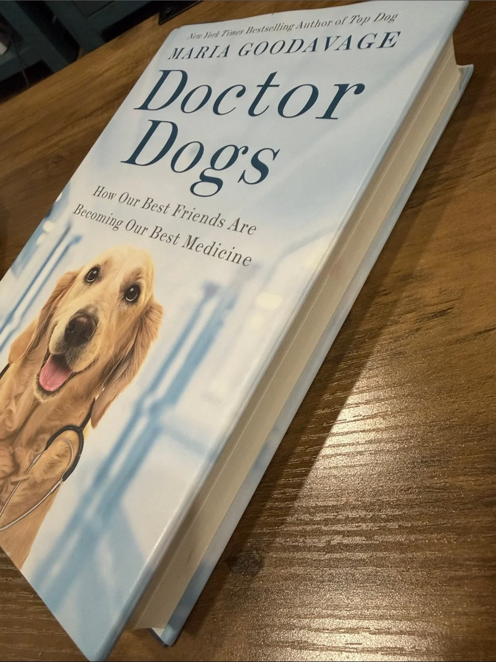 N/A doctor dogs