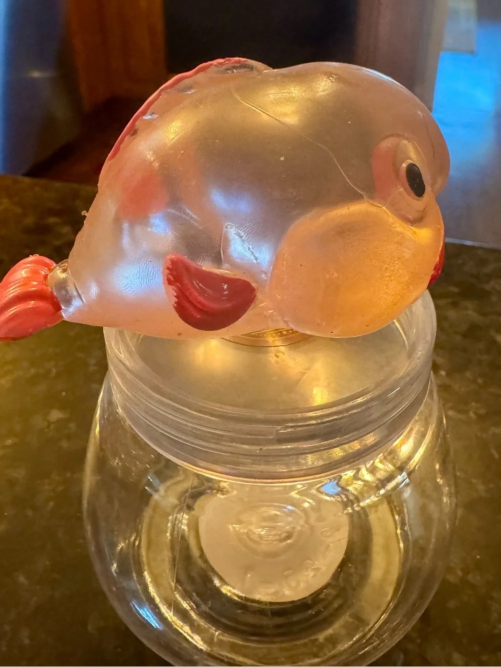 N/A clear fish