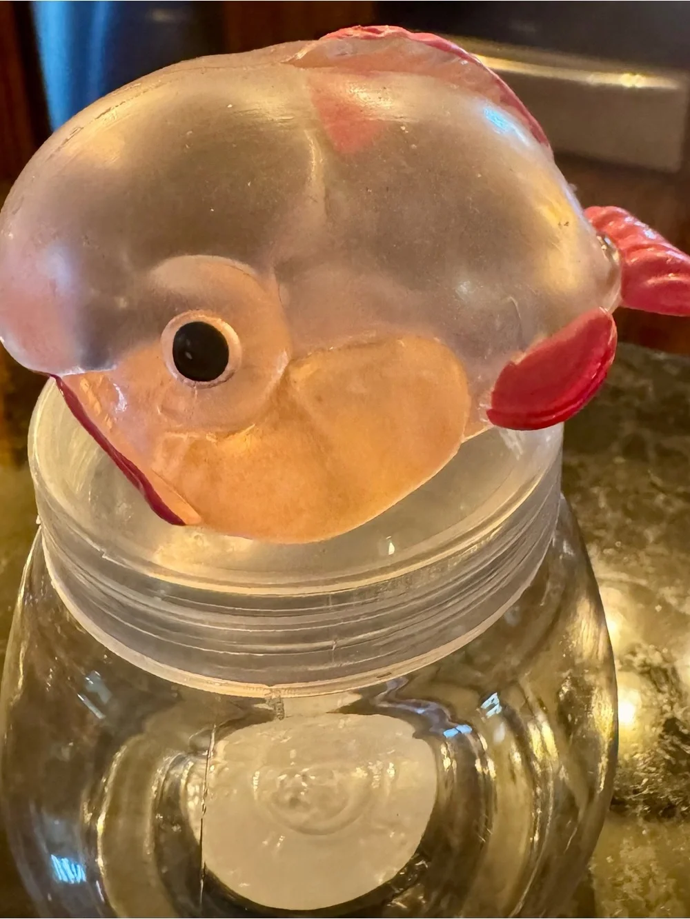 N/A clear fish