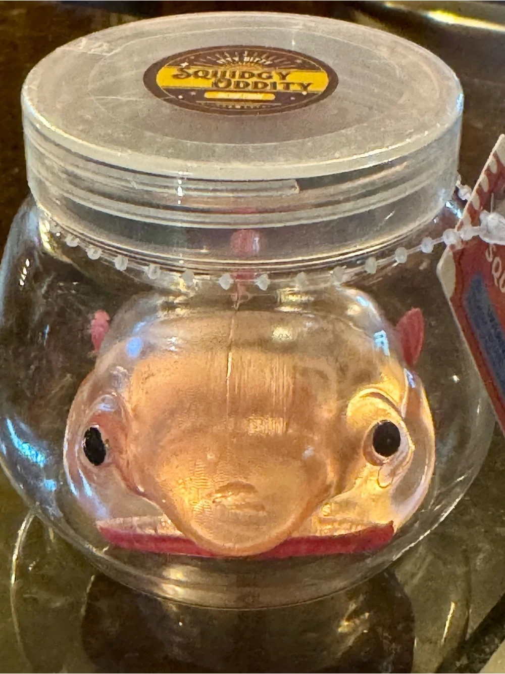 N/A clear fish