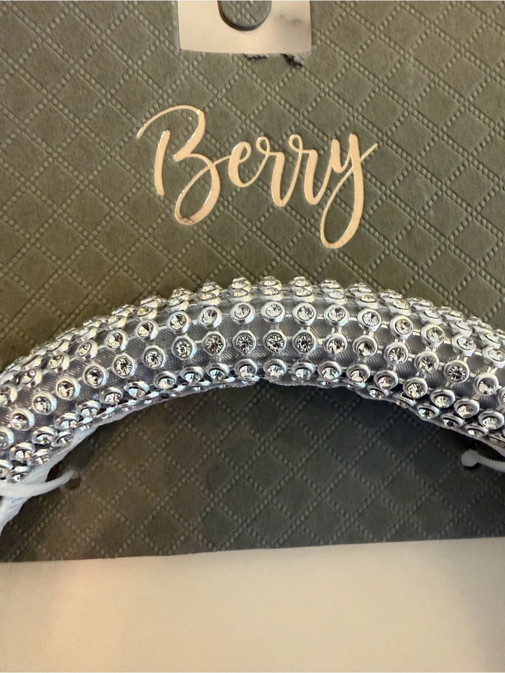 Berry nwt silver