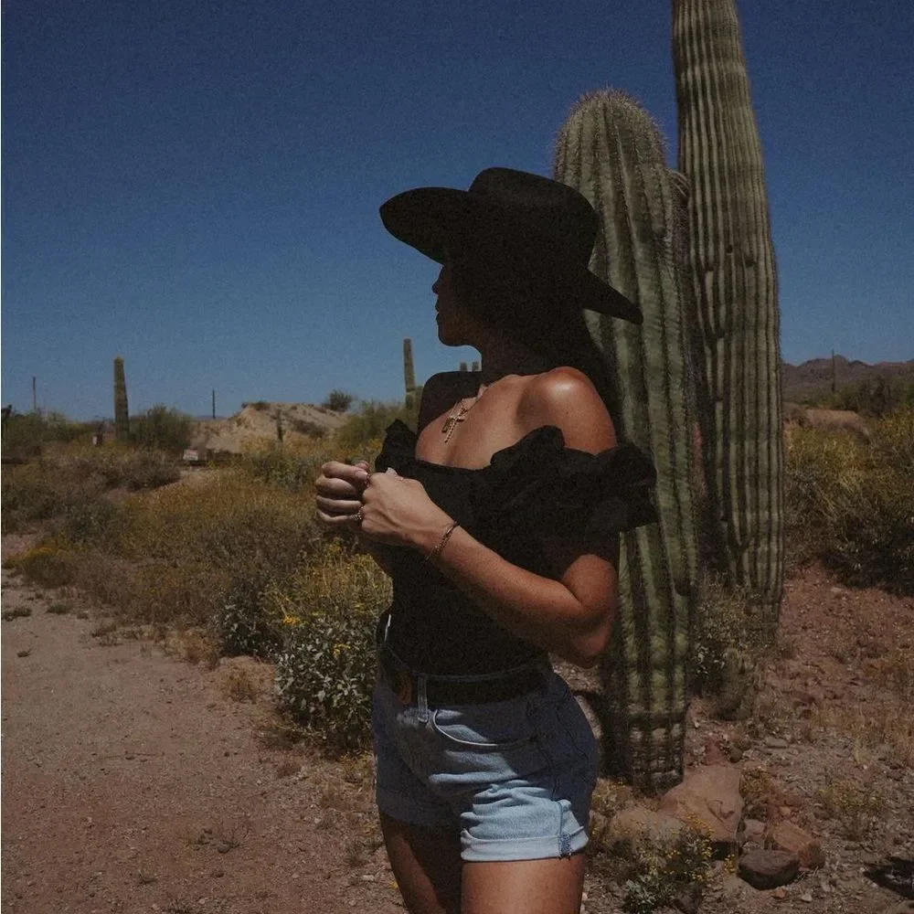 Black  cowboy  hat