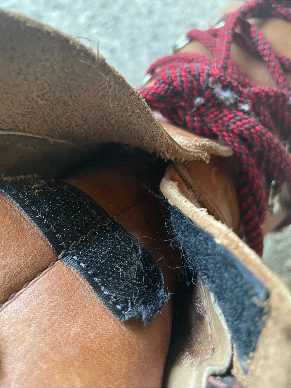 Dexter gently used