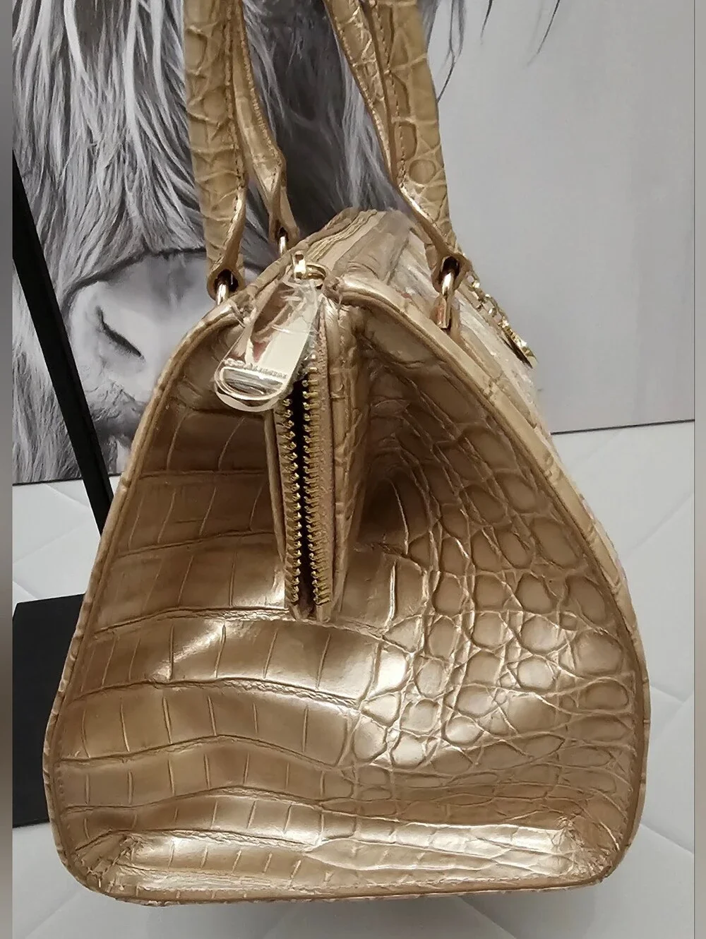 Brahmin brand new