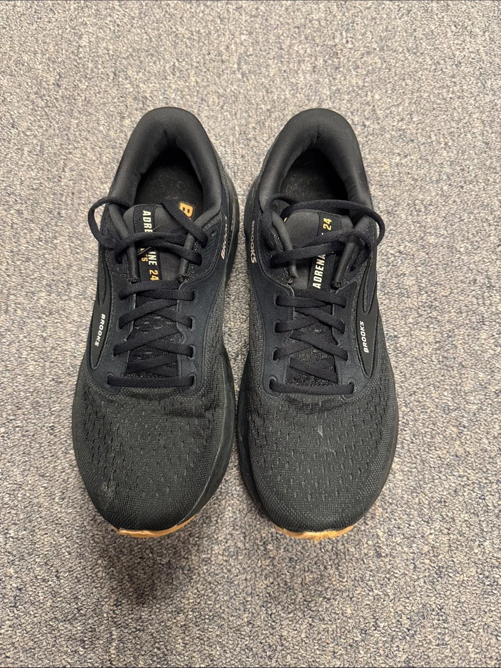 Brooks stable daily