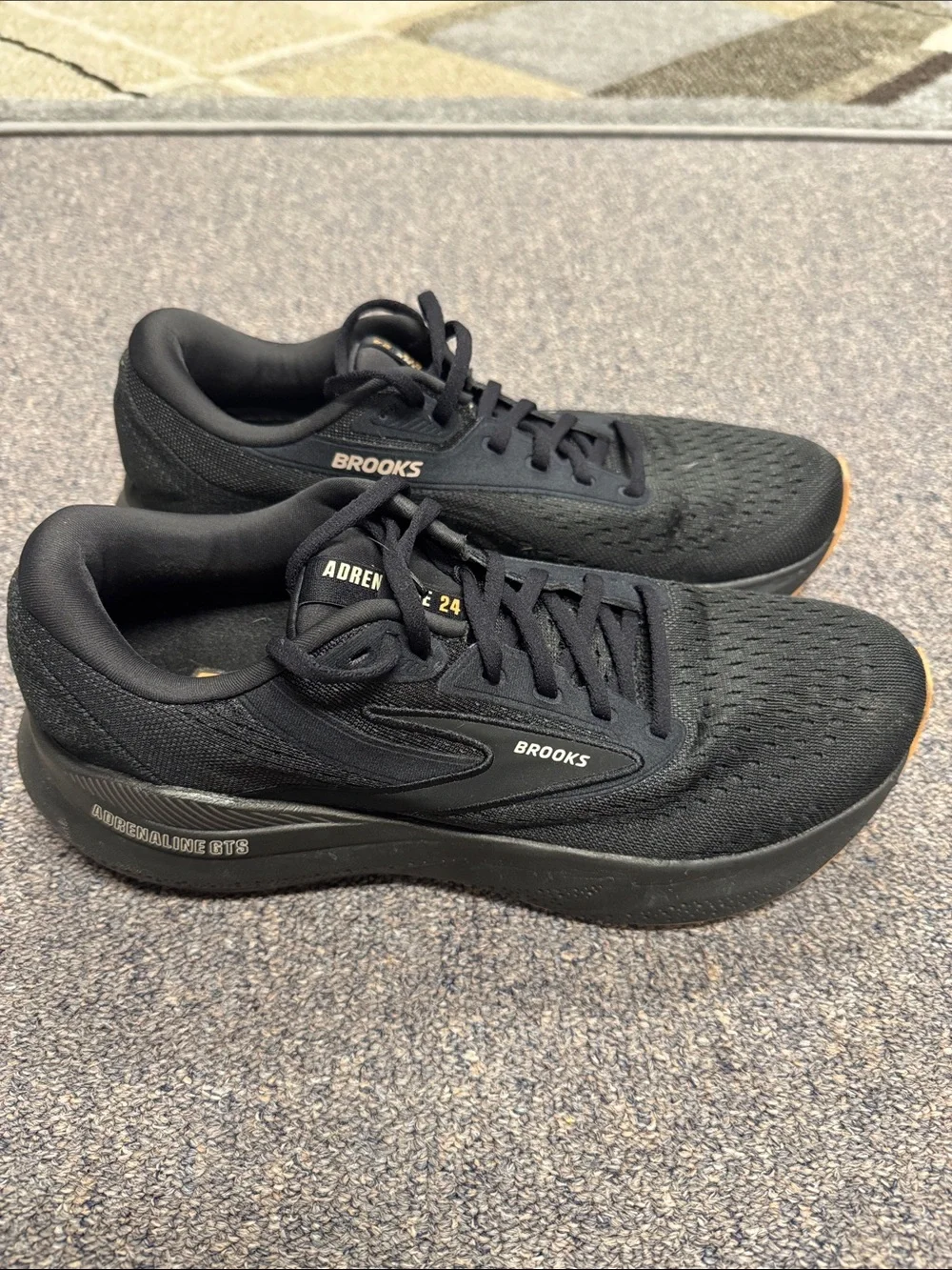 Brooks stable daily