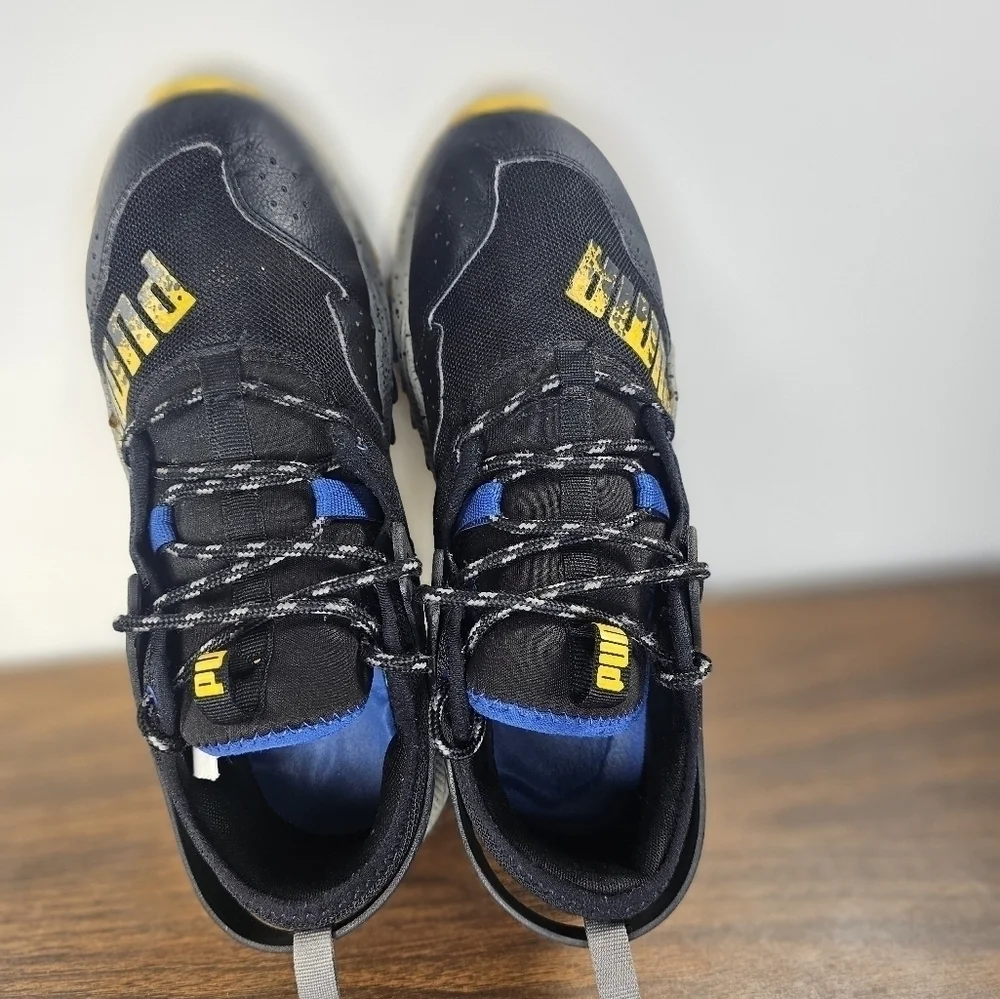 Puma pacer future