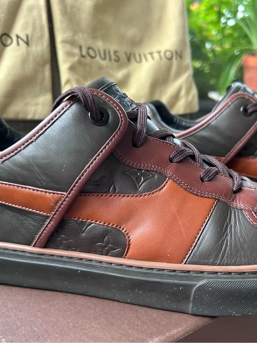 Louis Vuitton luxury louis