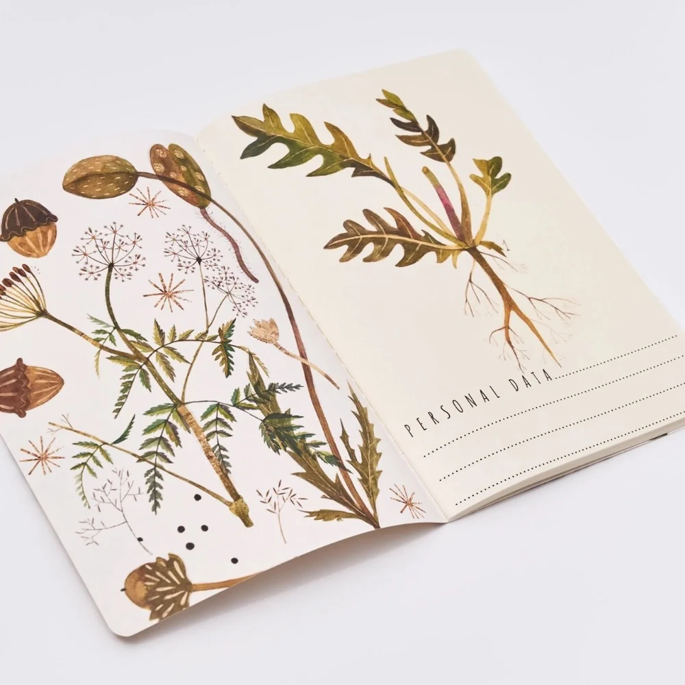 BV By Bruno Visconti charming pack