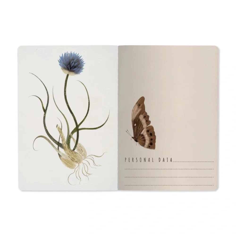 BV By Bruno Visconti charming pack