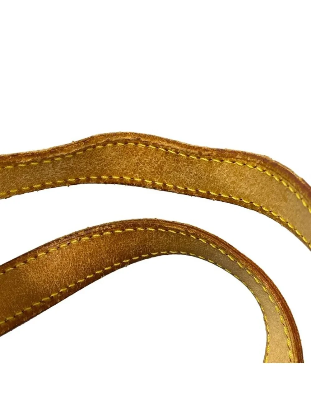 Louis Vuitton brand louis