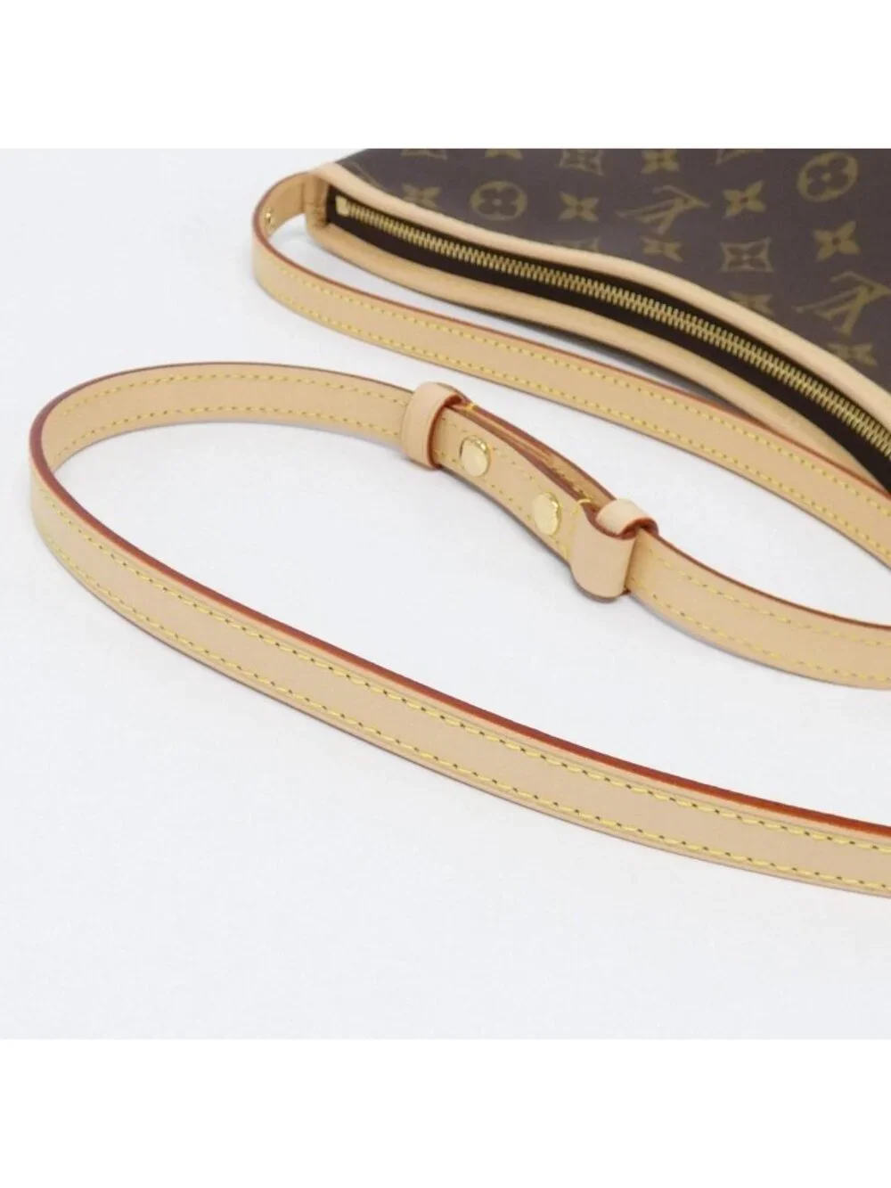 Louis Vuitton Monogram Line Nap Shoulder