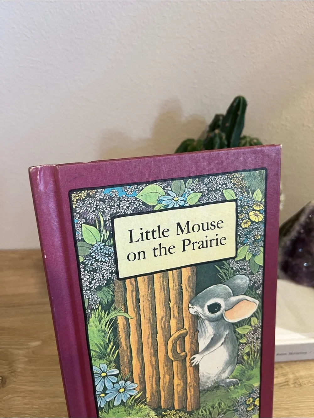 N/A 📚 little
