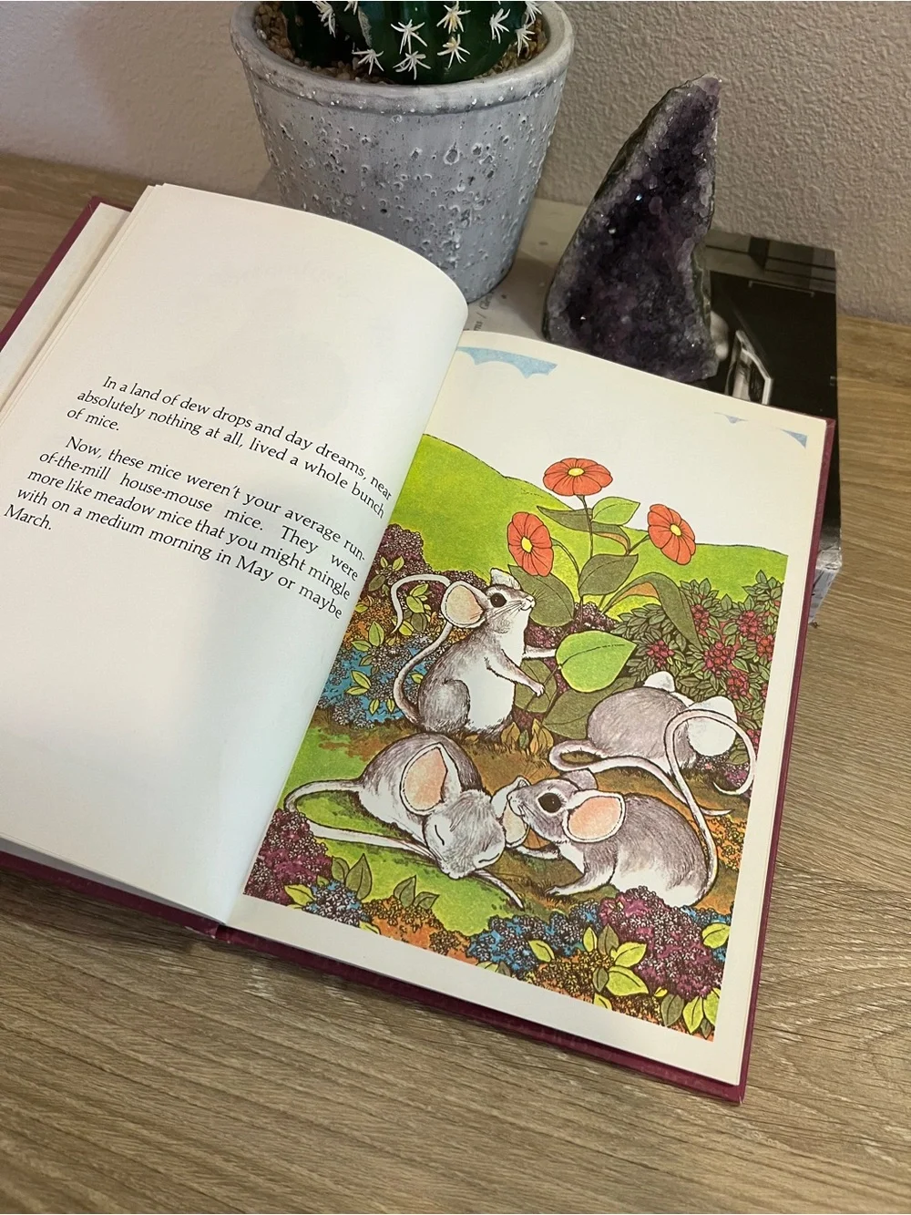 N/A 📚 little