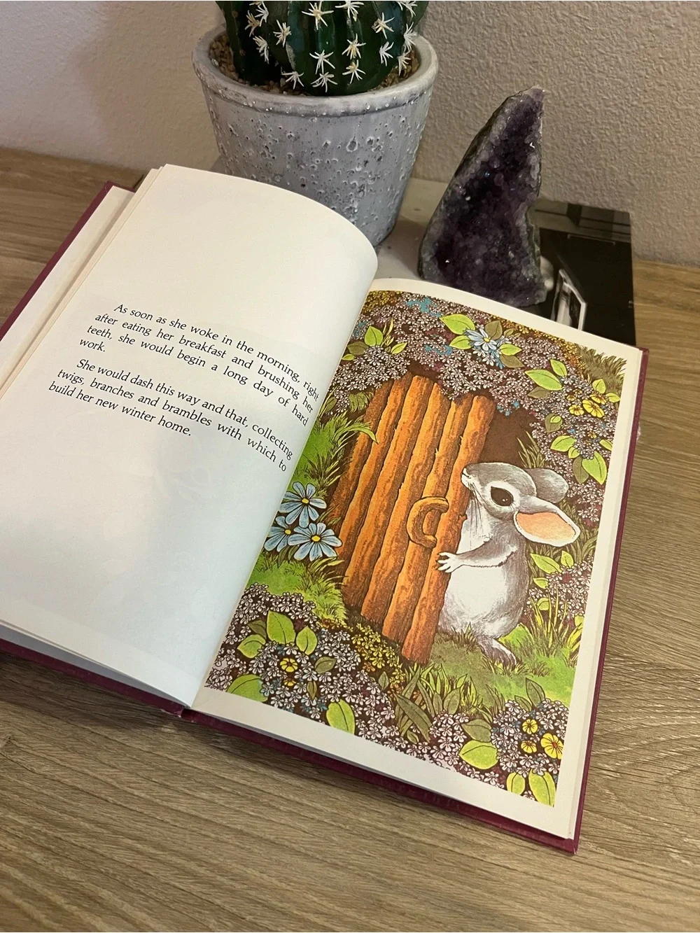 N/A 📚 little