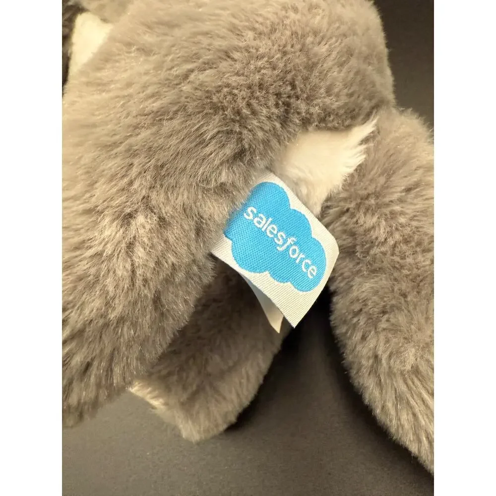 Salesforce adorable “blaze”