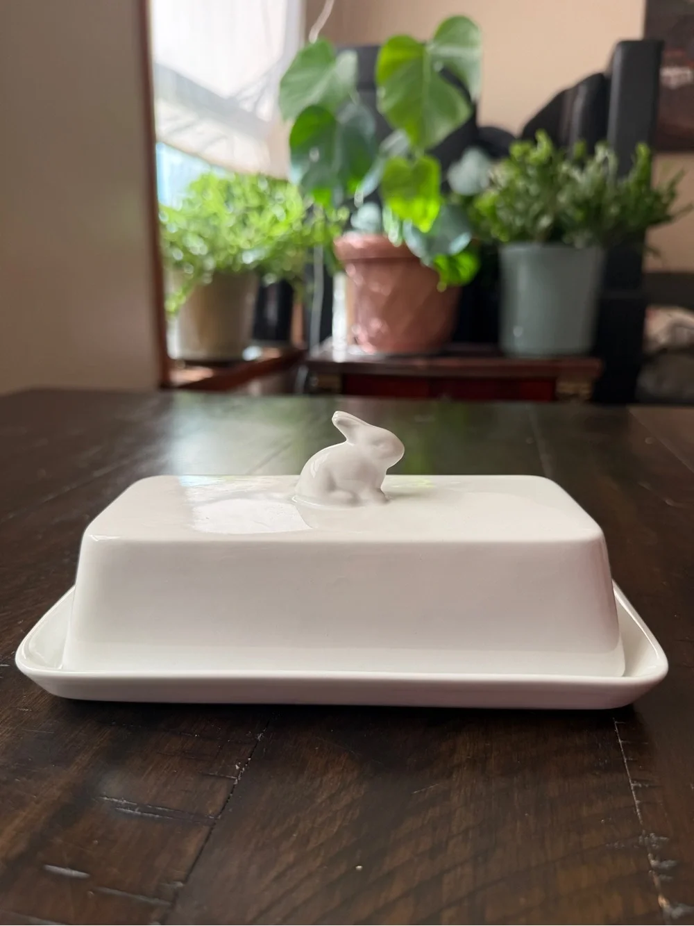 The Unbranded Brand charming ceramic