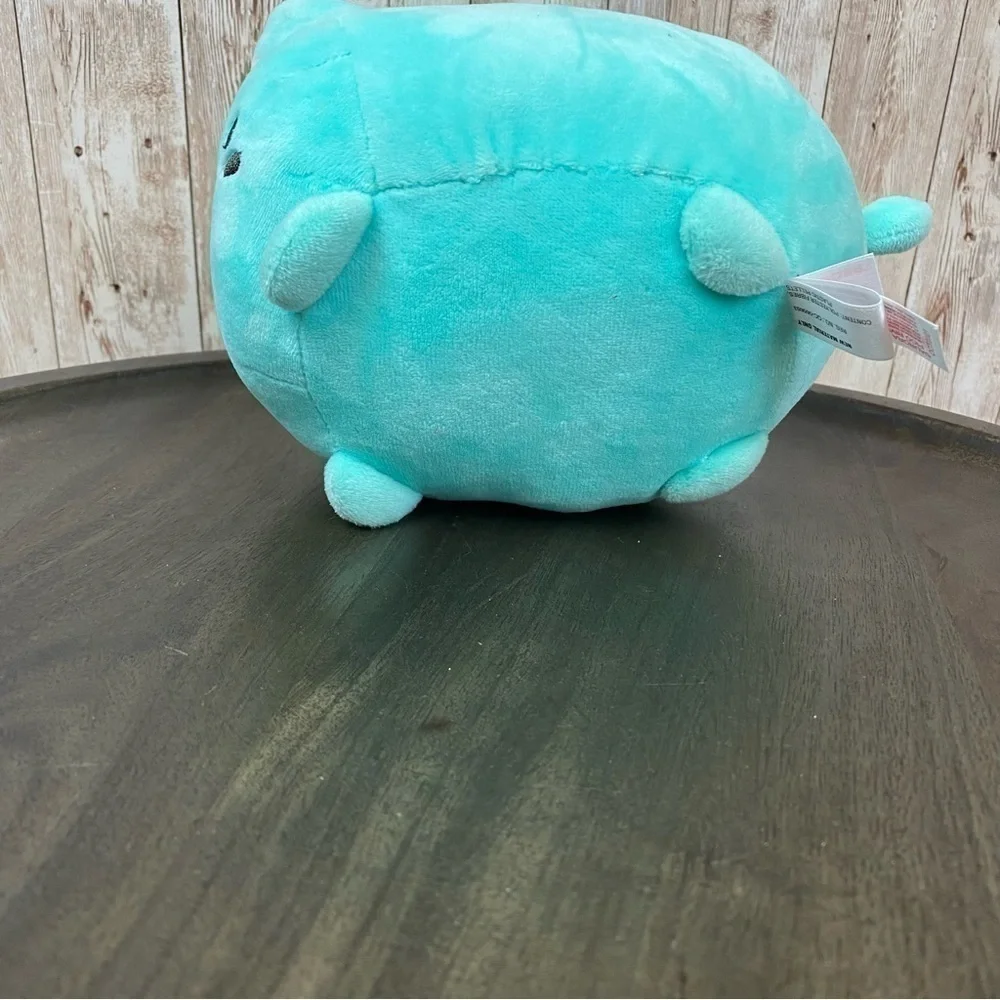 Aurora meowchi mint