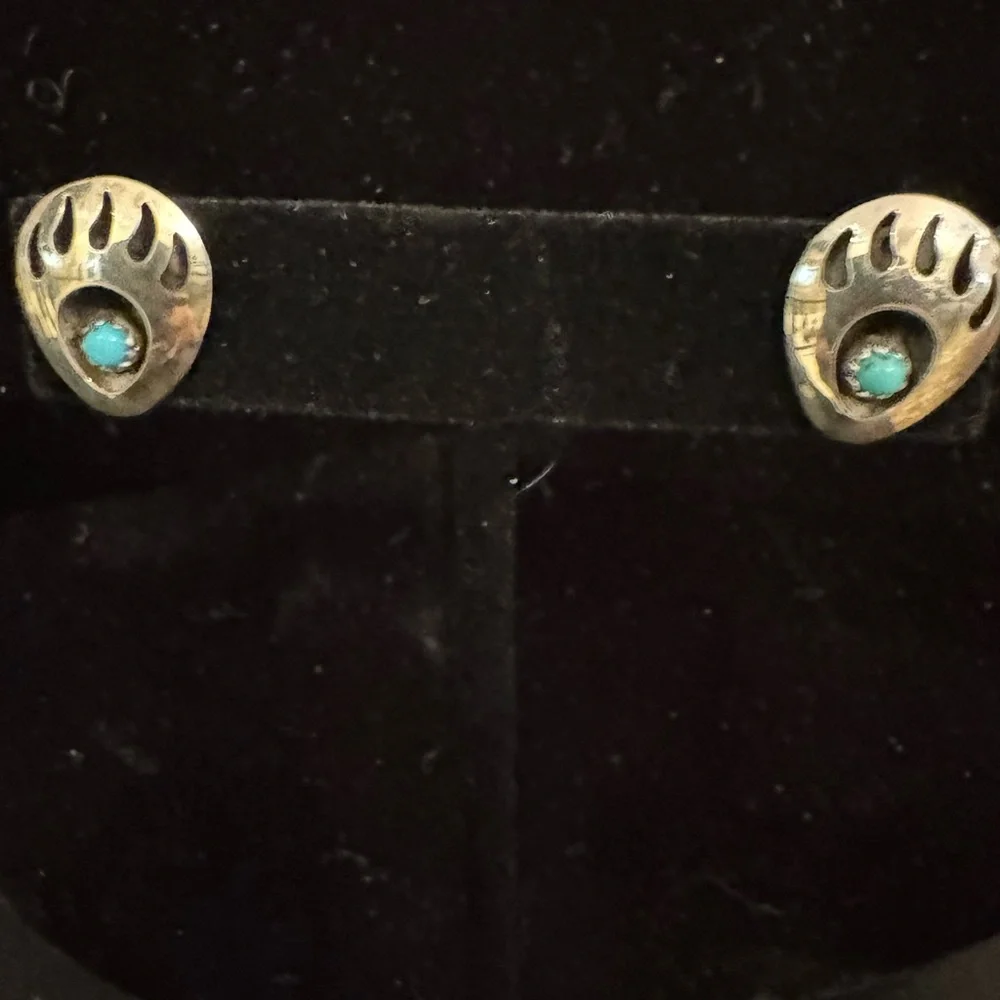 N/A earrings pair