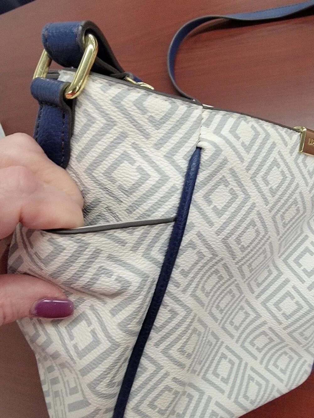 Liz Claiborne stylish crossbody