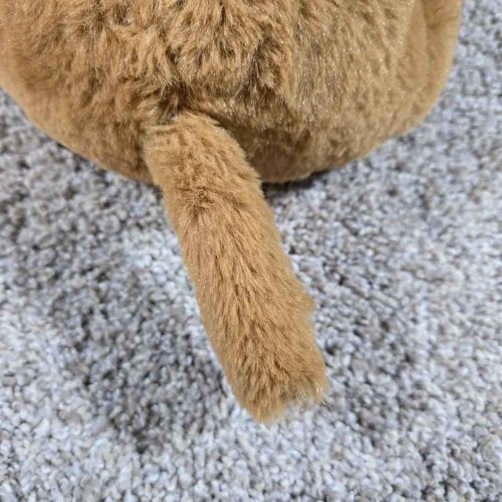 The bear factory meet leo