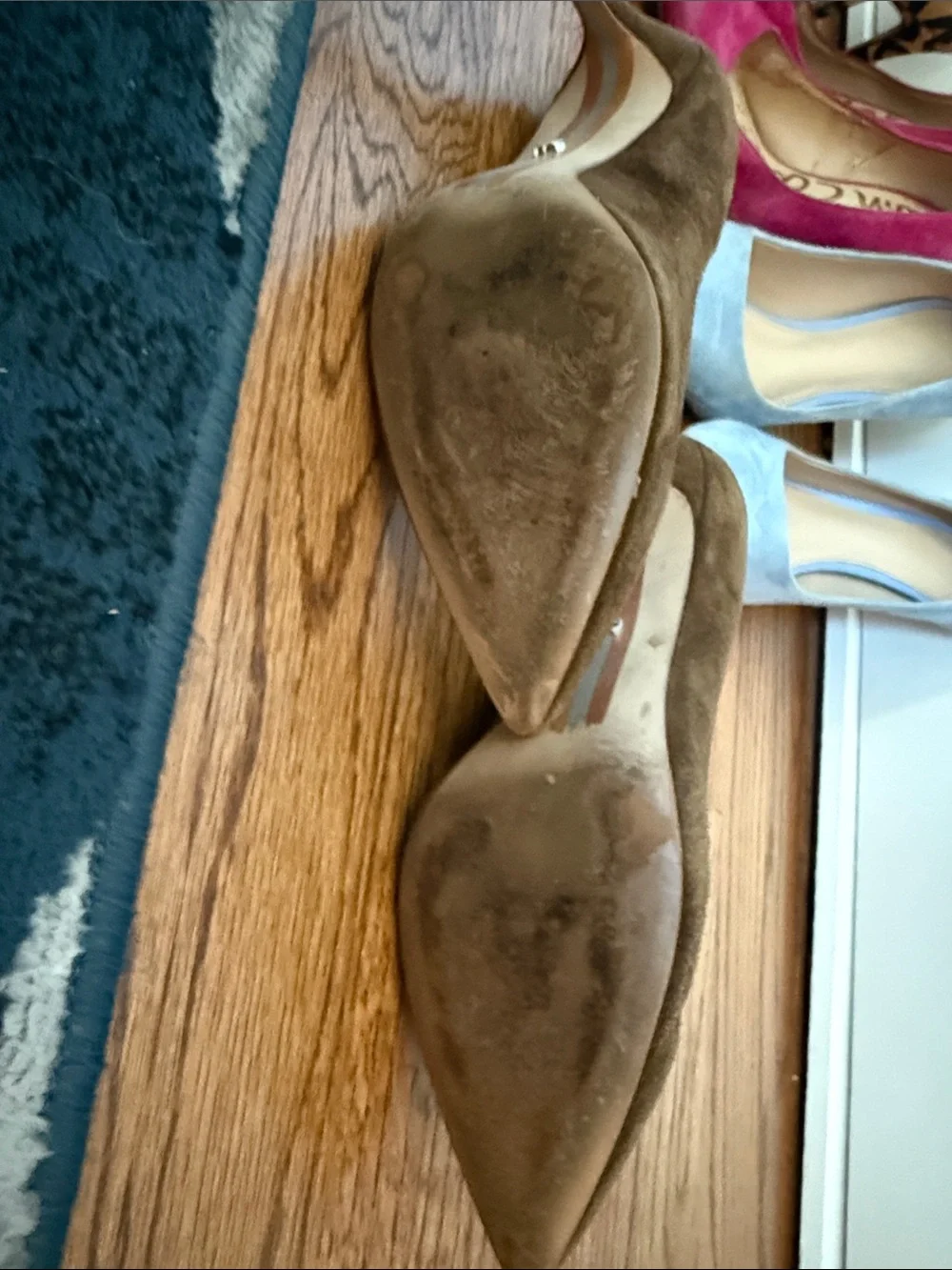Sam Edelman collection sam
