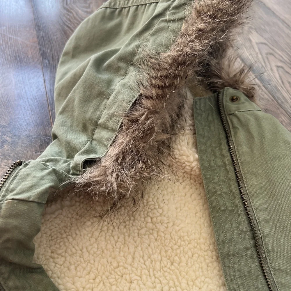 GAP warm olive