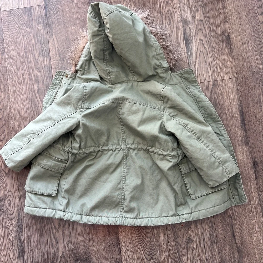 GAP warm olive