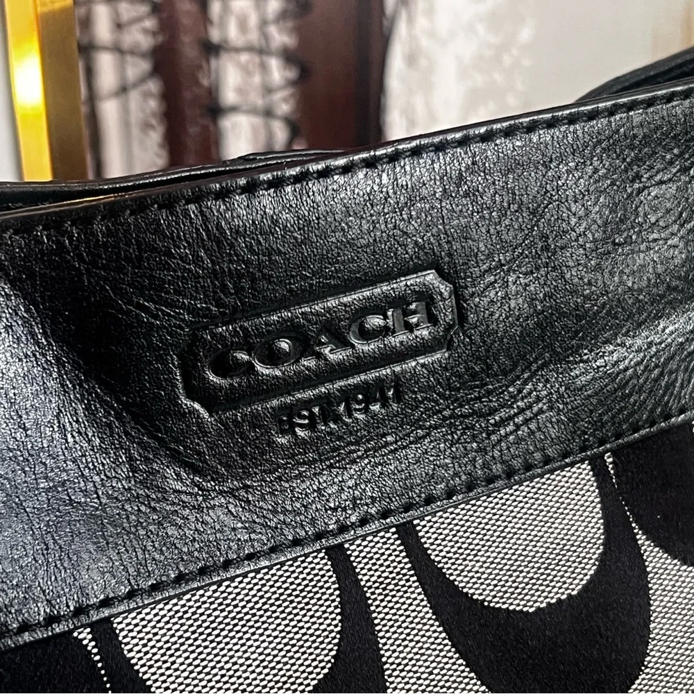 Coach elegant women