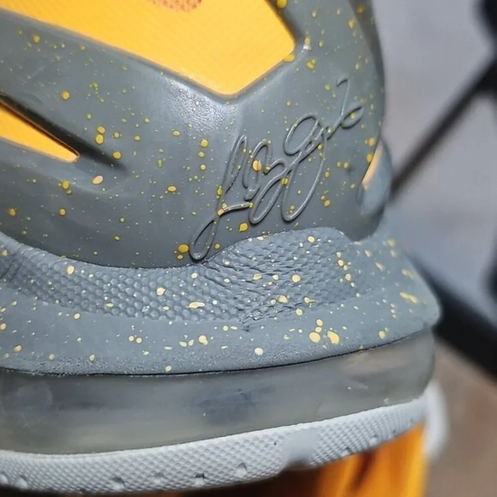 Nike lebron james
