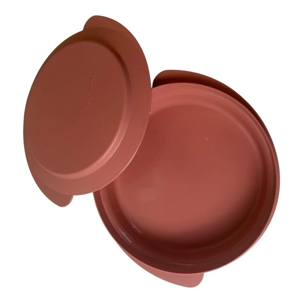 Tupperware vintage dusty