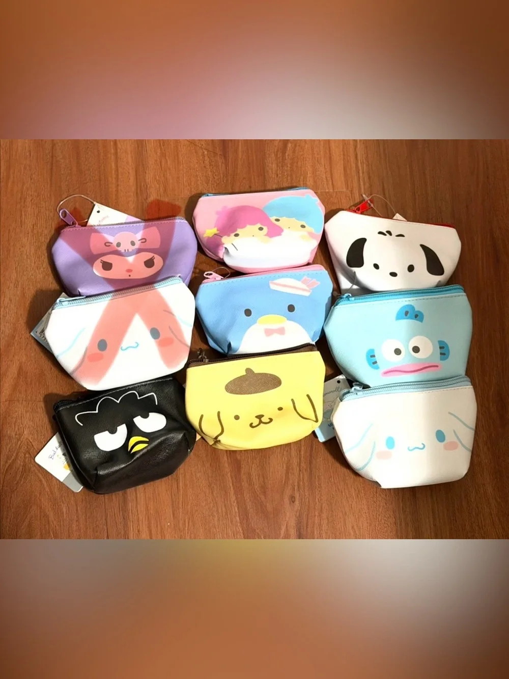 Sanrio cute pouch