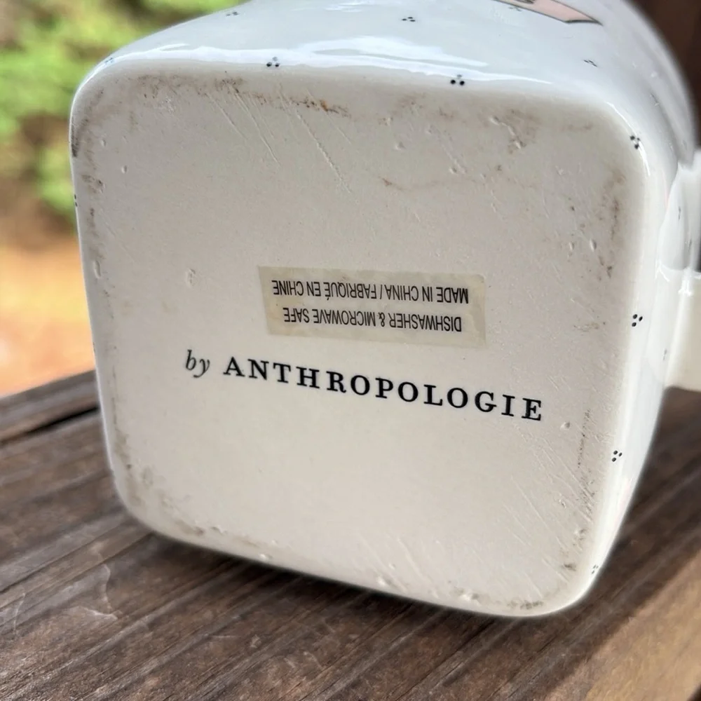 Anthropologie preowned chip