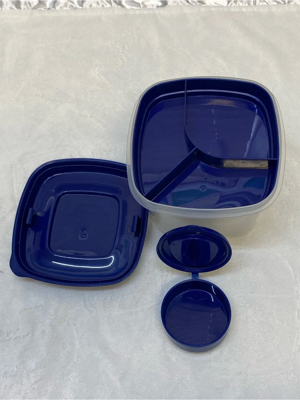 Fit & Fresh plastic sectional food storage container with a blue lid lunchbox