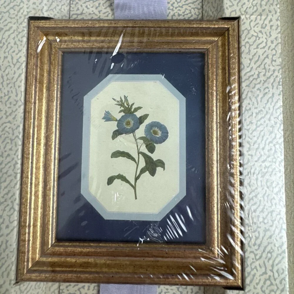 Vintage 1993s NEW  Ribbon & Picture Collection  Botanical ART Set