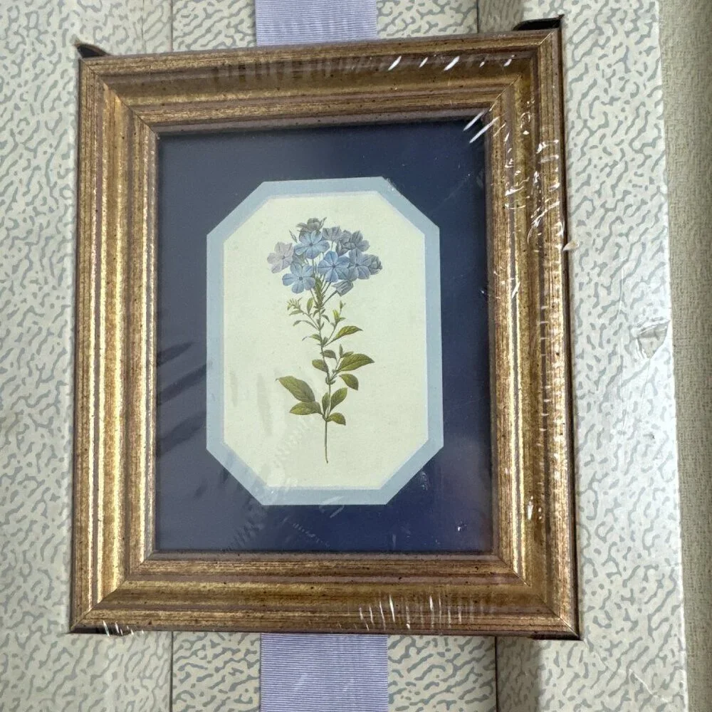 Vintage 1993s NEW  Ribbon & Picture Collection  Botanical ART Set