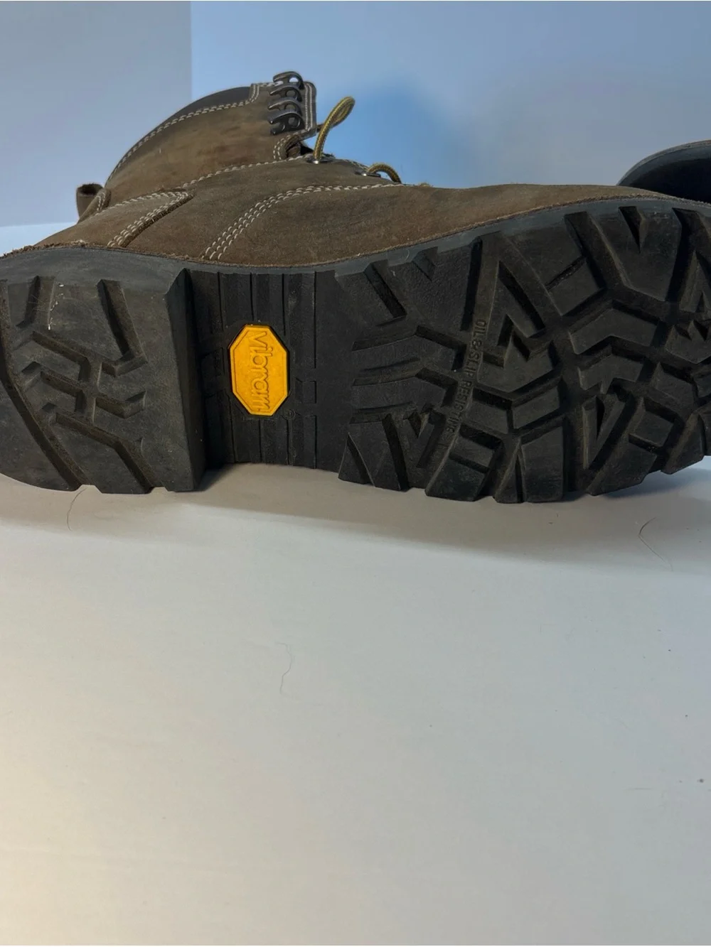 Danner sturdy suede