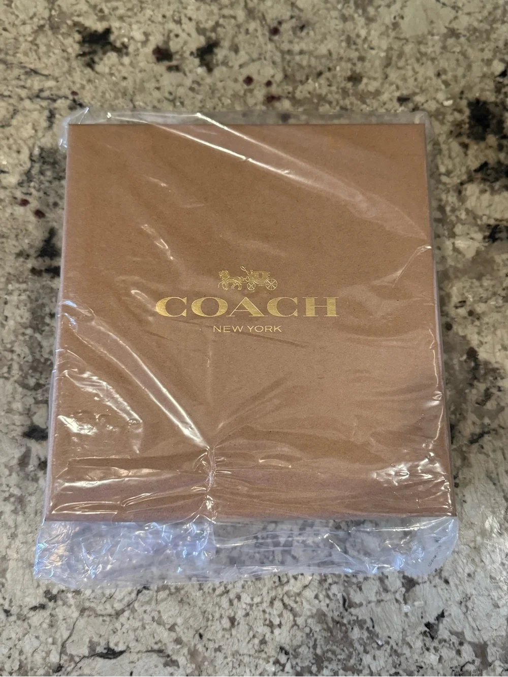 Coach leather dog