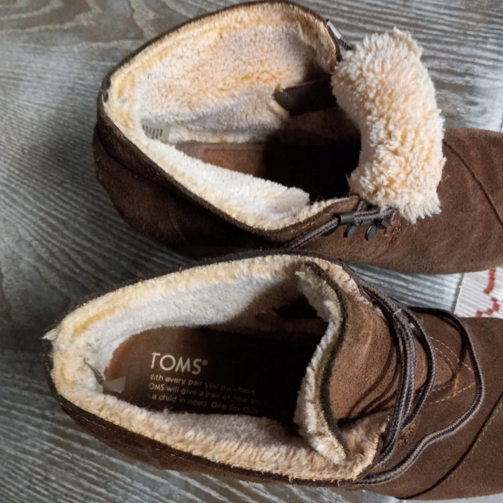 Toms desert suede