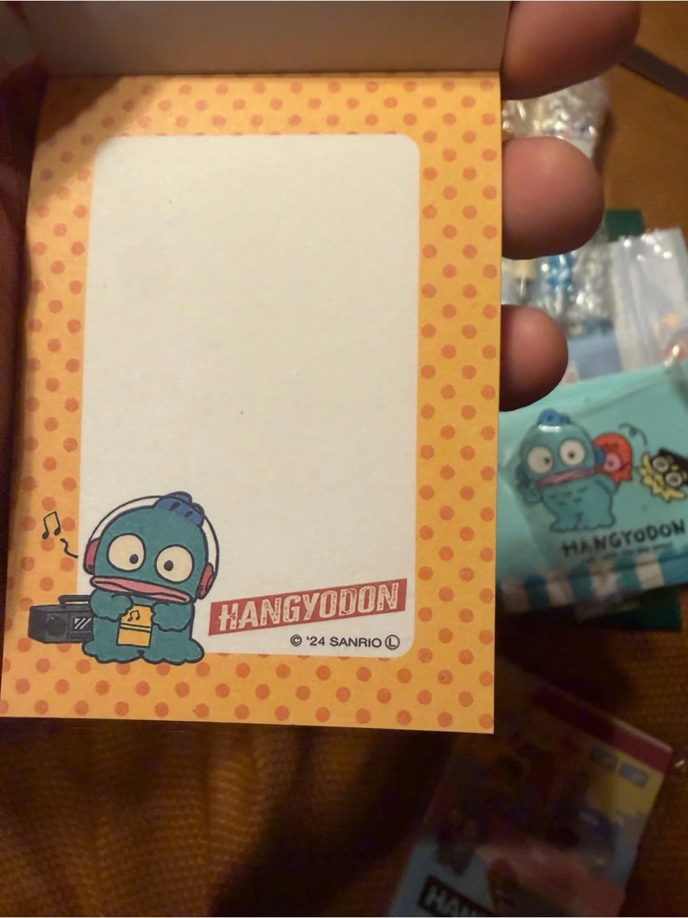 Sanrio brand new