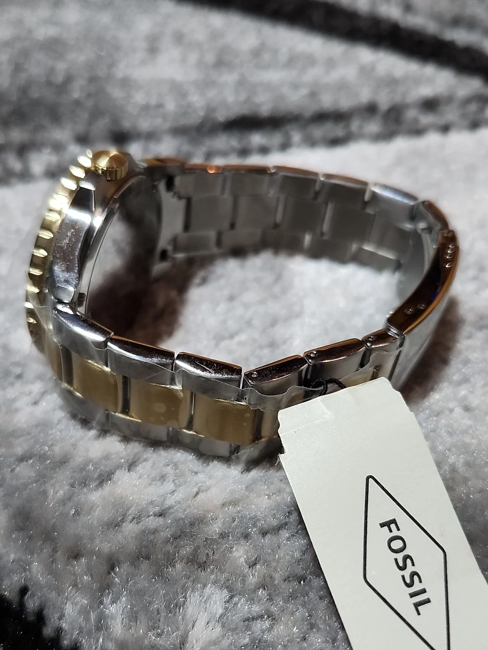 Fossil blue dive