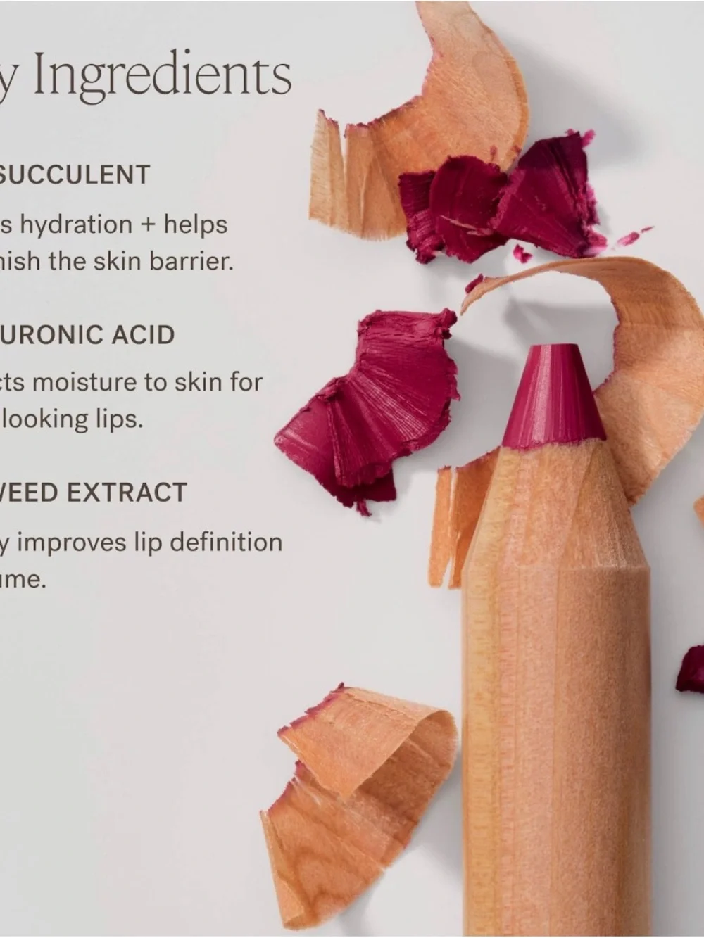 ILIA hydrating lip