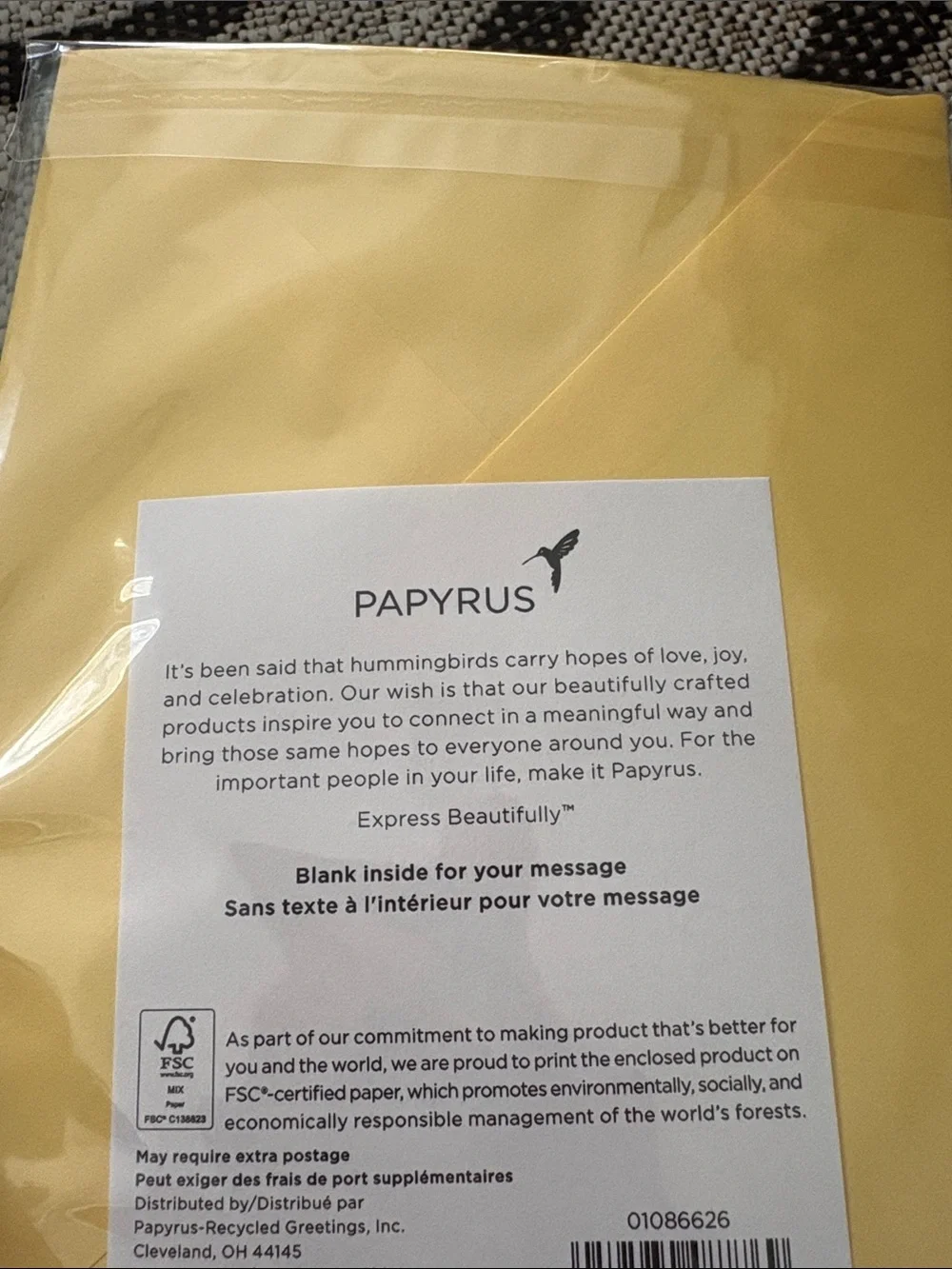 Papyrus nib sealed