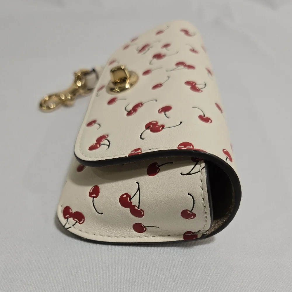 Coach sunglass case