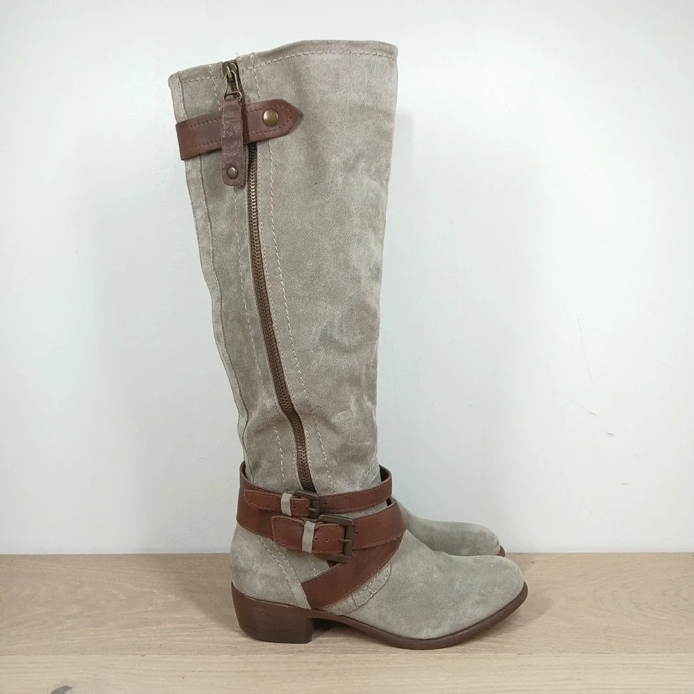 Aldo feature festival equestrian