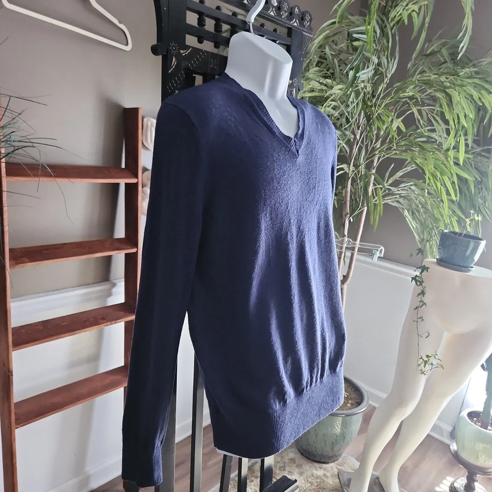 Banana Republic blue merino wool v-neck sweater