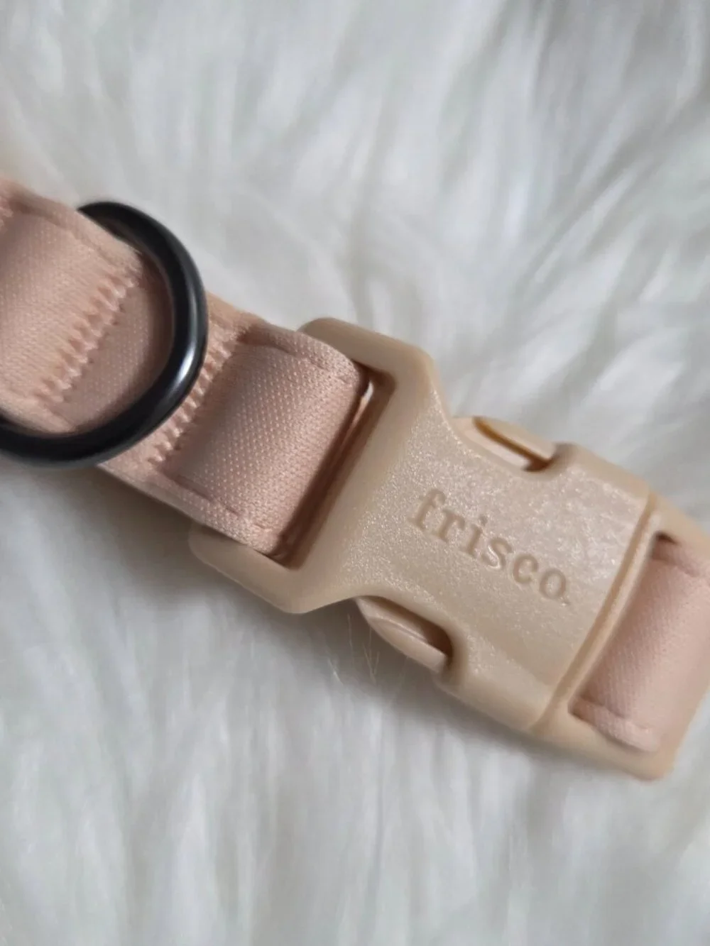 Frisco new tag