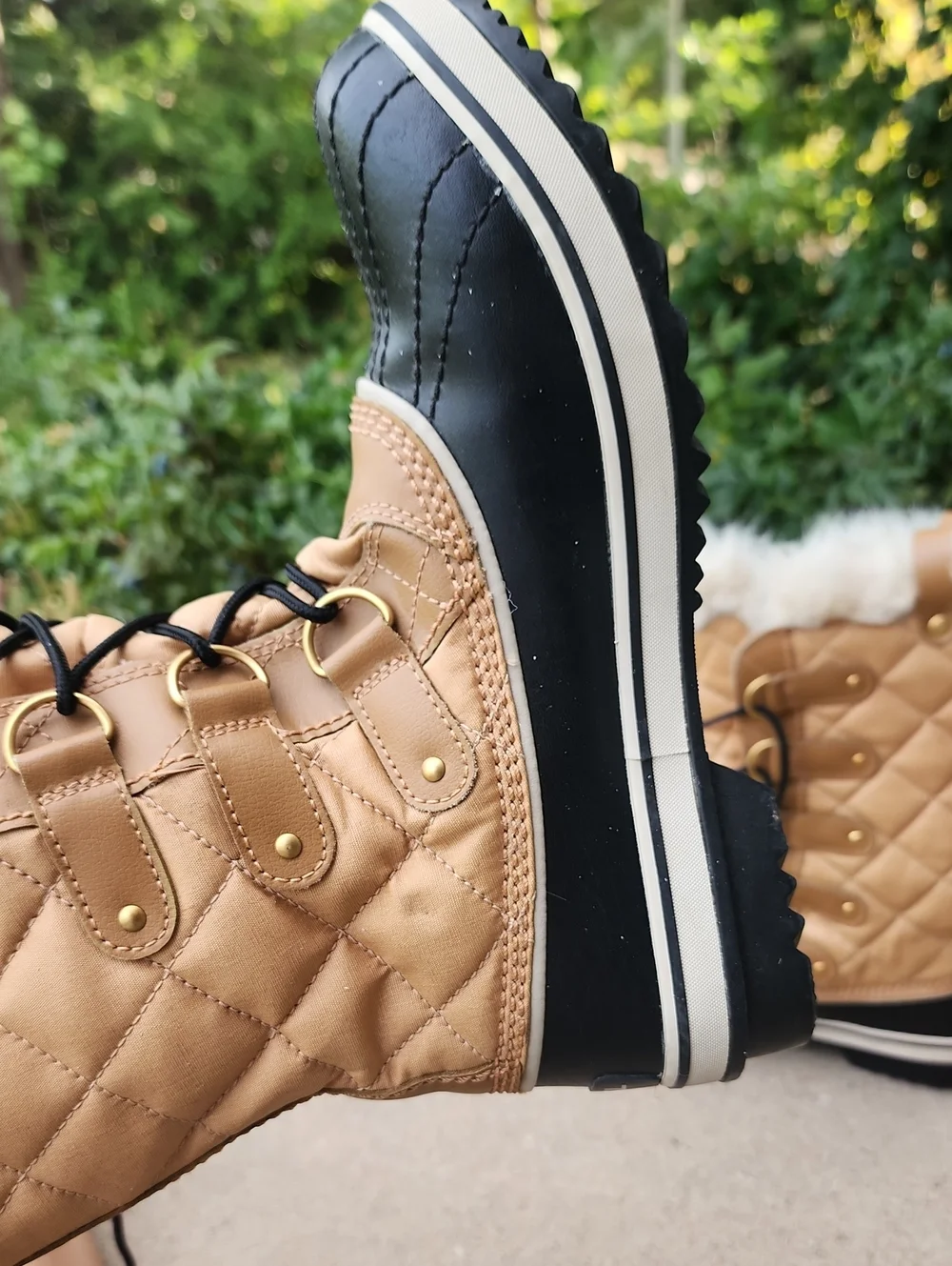Sorel these are