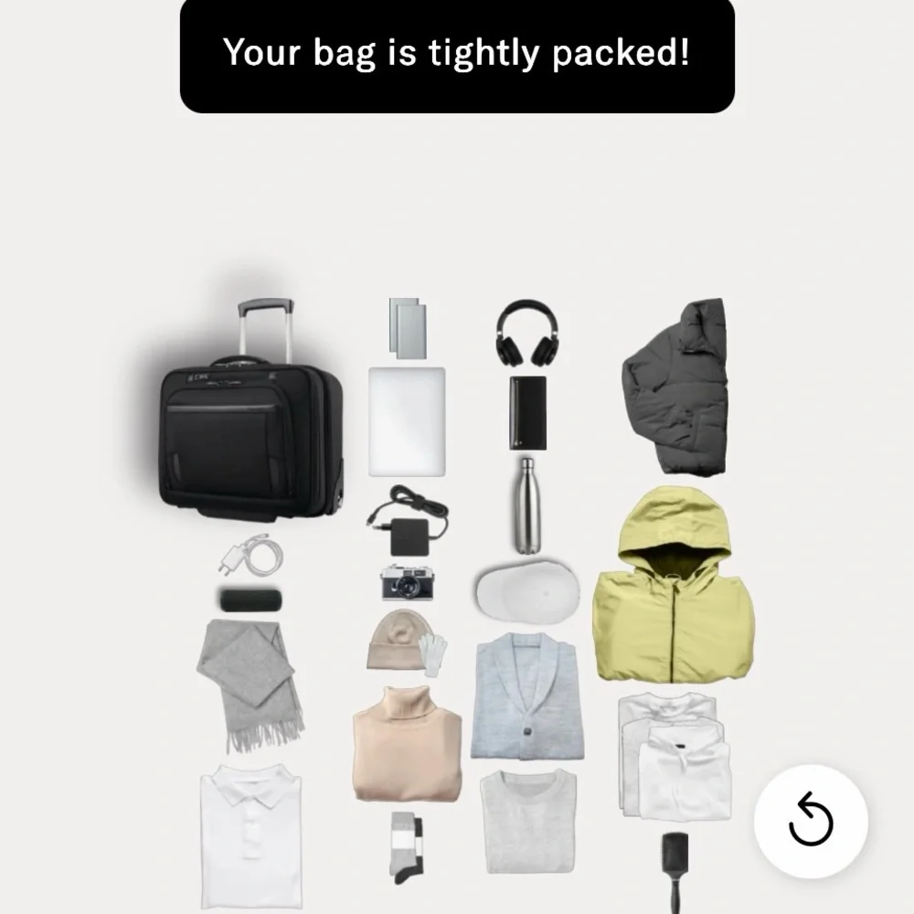SAMSONITE PRO UPRIGHT MOBILE OFFICE. carry-on baggage
